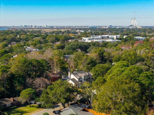 1335 Erckmann Drive, Mount Pleasant, SC 29464