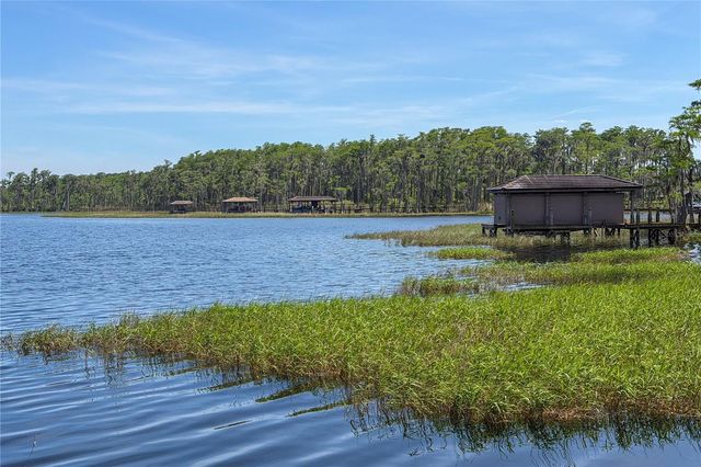 11617 CAMDEN PARK DRIVE, Windermere, FL 34786