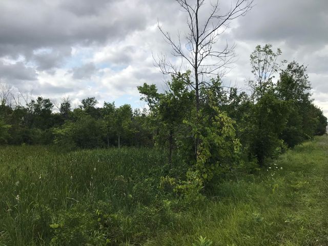 14551 Algoma Avenue NE, Cedar Springs, MI 49319