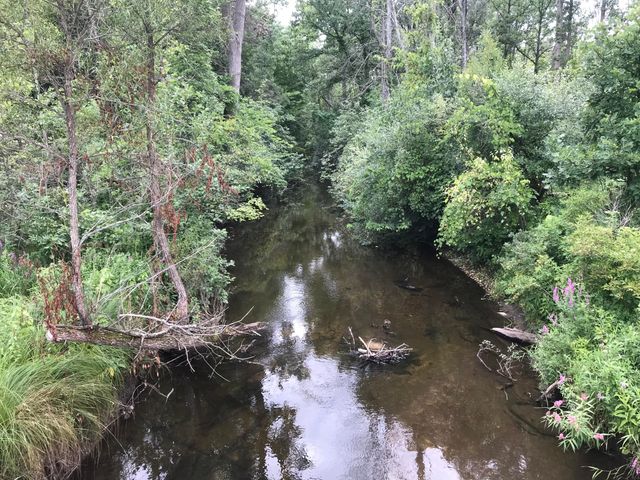 14551 Algoma Avenue NE, Cedar Springs, MI 49319