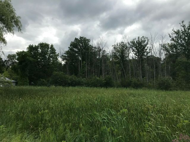 14551 Algoma Avenue NE, Cedar Springs, MI 49319