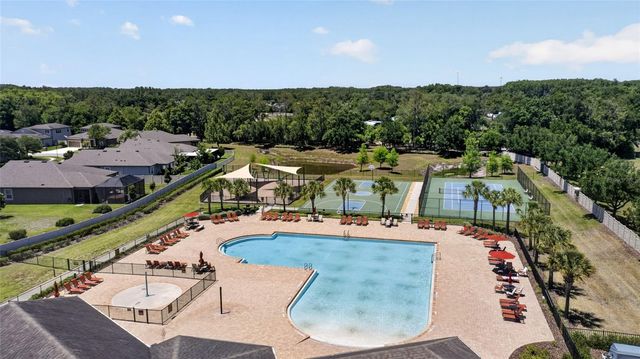 12386 CRIOLLO ROAD, Spring Hill, FL 34610