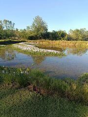 18106 Domino Road, Waller, TX 77484