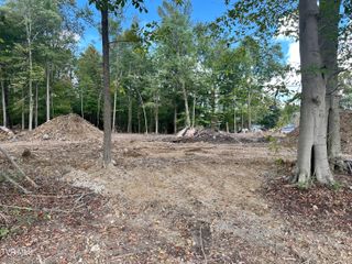 Lot 1 Highway 70s, Rogersville, TN 37857