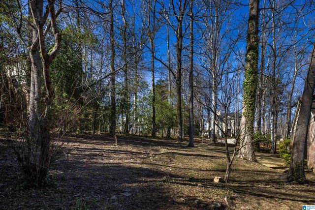 3716 DOVER DRIVE, Mountain Brook, AL 35223