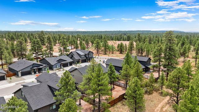 317 N VALERIAN Lane, Flagstaff, AZ 86004