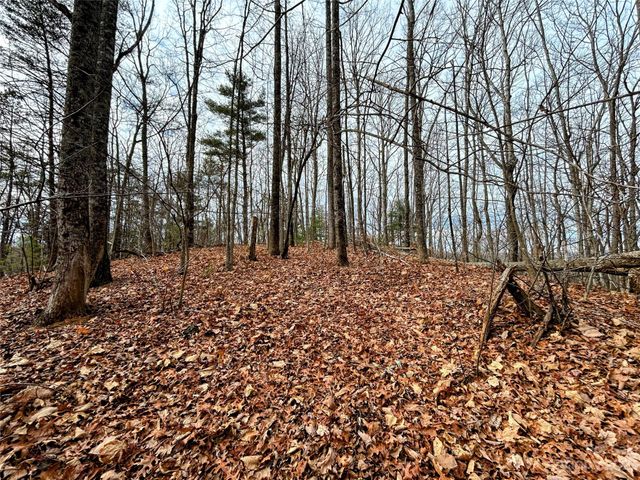 Lot 12 Rhododendron Drive, Saluda, NC 28773