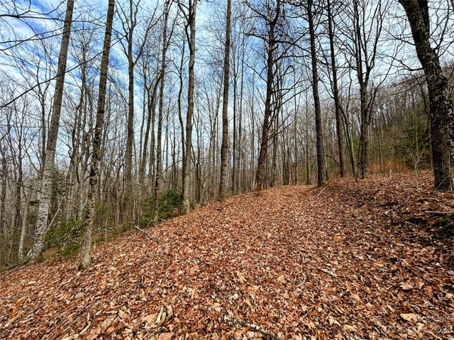 Lot 12 Rhododendron Drive, Saluda, NC 28773