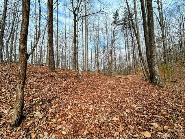 Lot 12 Rhododendron Drive, Saluda, NC 28773