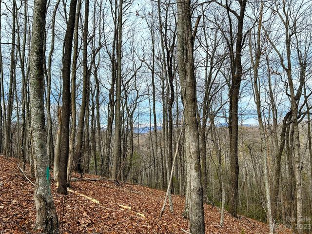 Lot 12 Rhododendron Drive, Saluda, NC 28773
