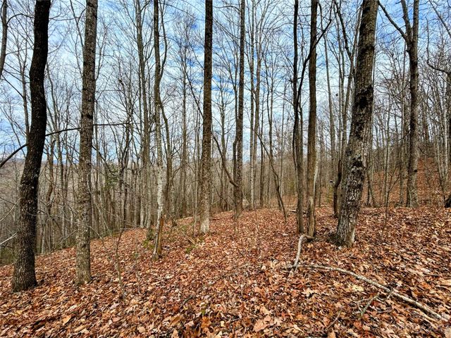 Lot 12 Rhododendron Drive, Saluda, NC 28773
