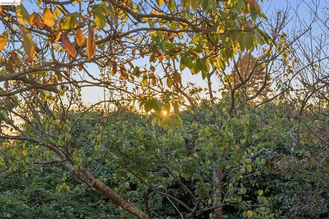 752 Grizzly Peak Blvd, Berkeley, CA 94708