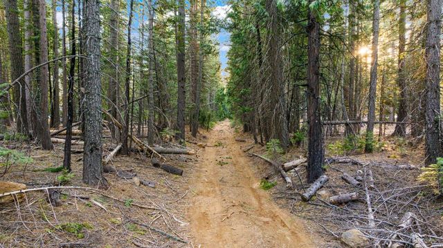 16277 Ophir Silver Rd, Nevada City, CA 95959