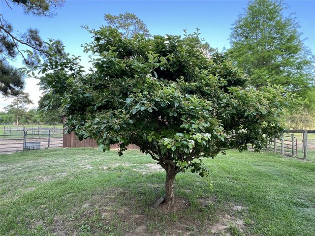 12494-725B Hill Creek Road, Montgomery, TX 77356