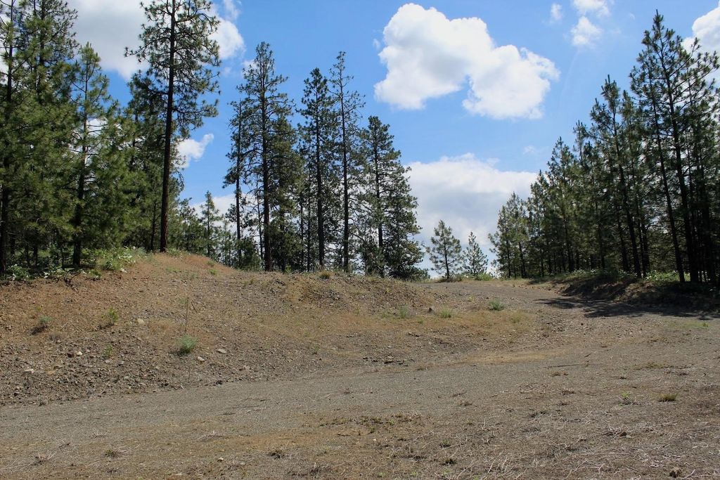 Flicker Lot 4 Sontag Ridge Dr, Davenport, WA 99122