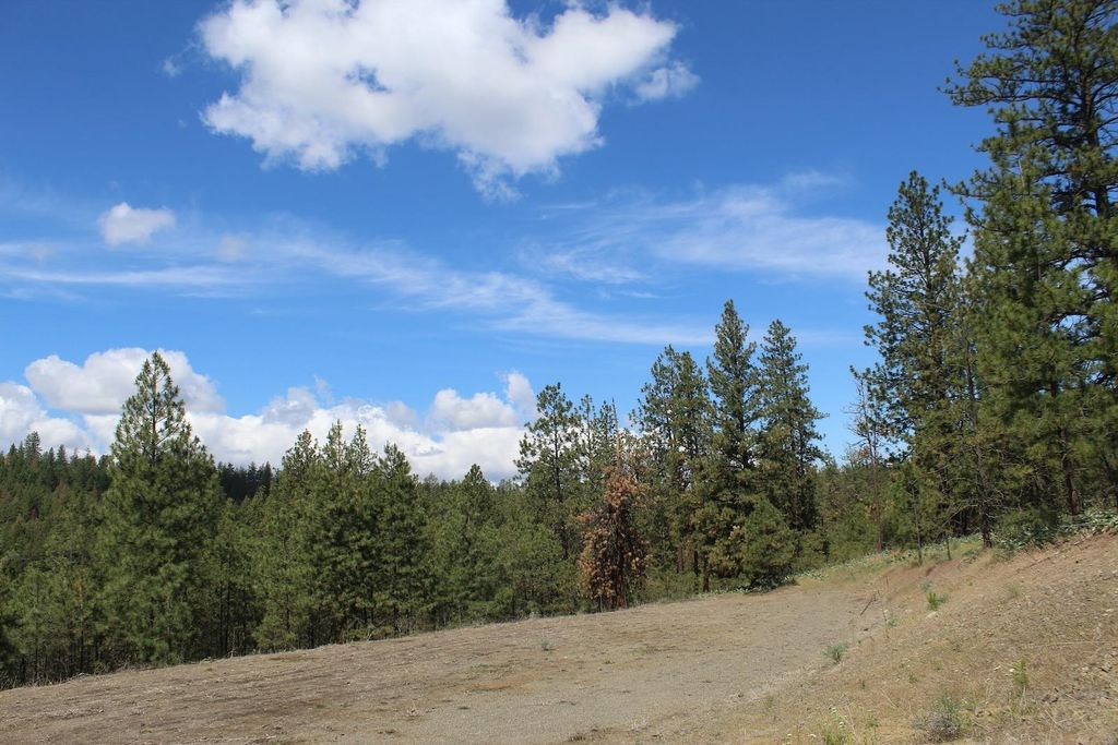 Flicker Lot 4 Sontag Ridge Dr, Davenport, WA 99122 photo 11