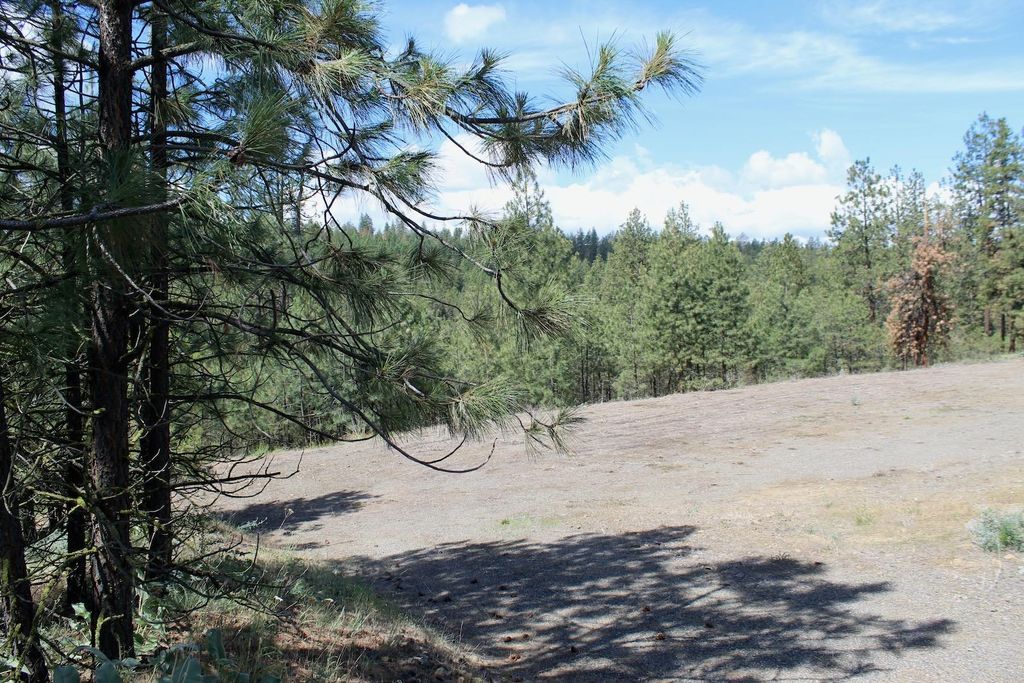 Flicker Lot 4 Sontag Ridge Dr, Davenport, WA 99122 photo 13