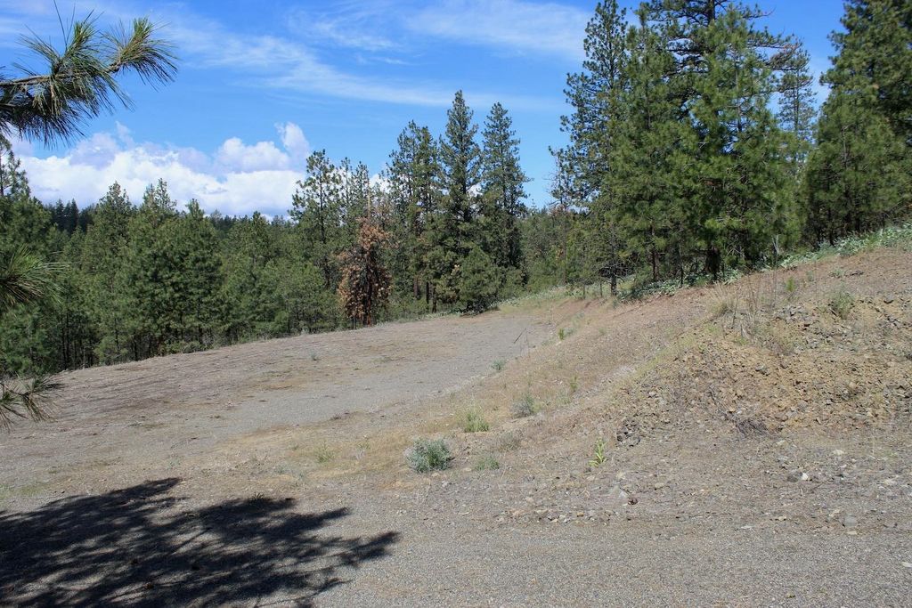 Flicker Lot 4 Sontag Ridge Dr, Davenport, WA 99122 photo 14