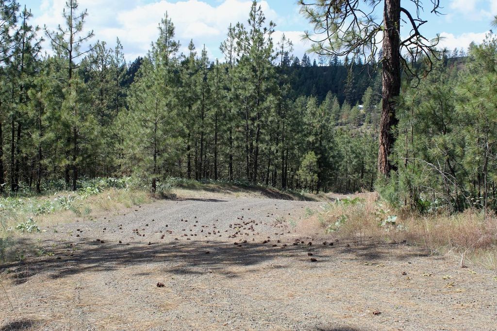 Flicker Lot 4 Sontag Ridge Dr, Davenport, WA 99122 photo 18