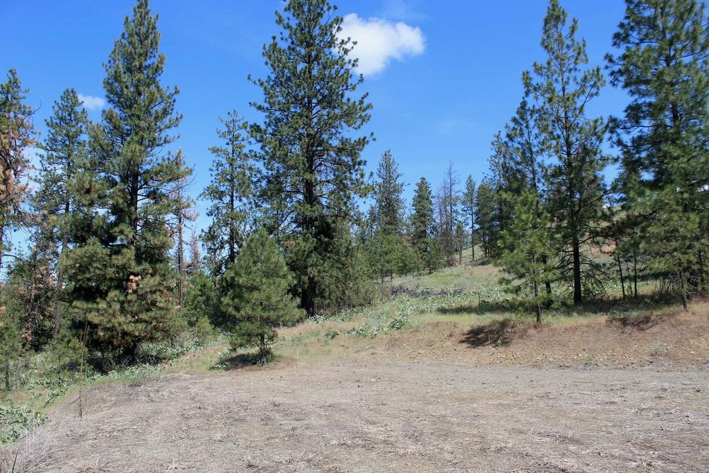 Flicker Lot 4 Sontag Ridge Dr, Davenport, WA 99122 photo 5