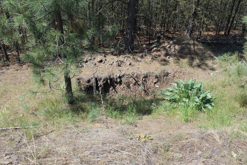 Flicker Lot 4 Sontag Ridge Dr, Davenport, WA 99122 photo 6