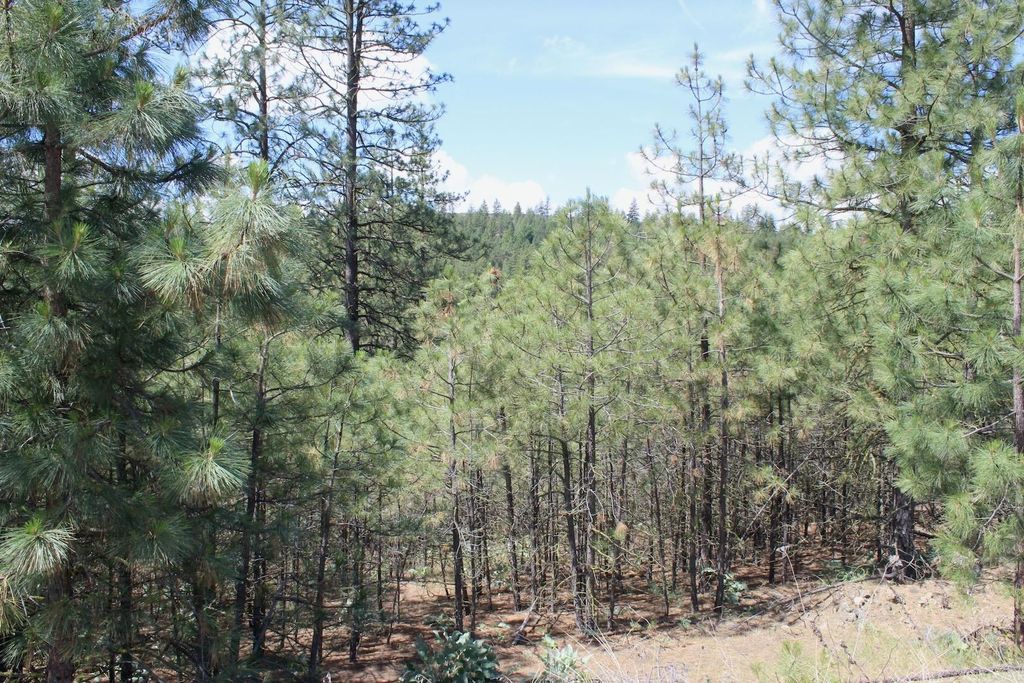 Flicker Lot 4 Sontag Ridge Dr, Davenport, WA 99122 photo 7