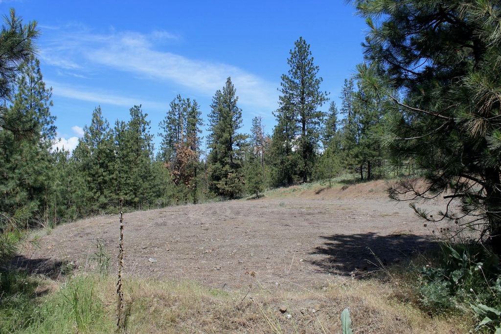 Flicker Lot 4 Sontag Ridge Dr, Davenport, WA 99122 photo 10