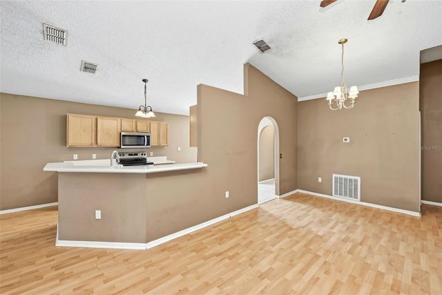 319 PLEASANT GARDENS DRIVE, Apopka, FL 32703