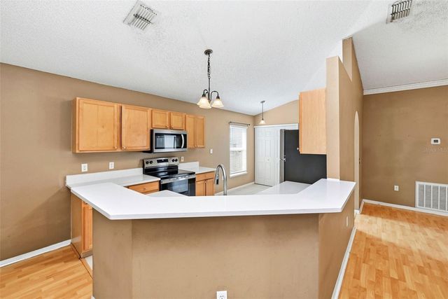 319 PLEASANT GARDENS DRIVE, Apopka, FL 32703