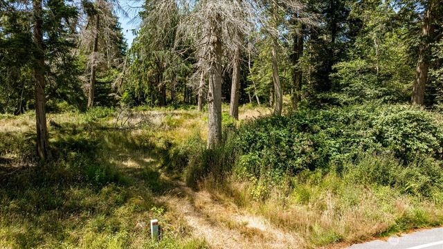 2458 North Bluff Rd, Greenbank, WA 98253
