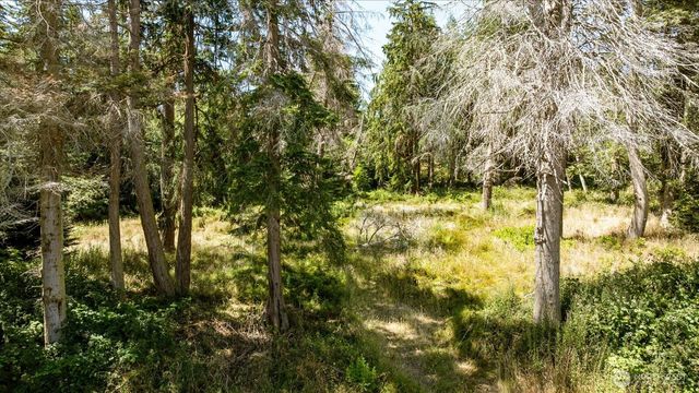 2458 North Bluff Rd, Greenbank, WA 98253
