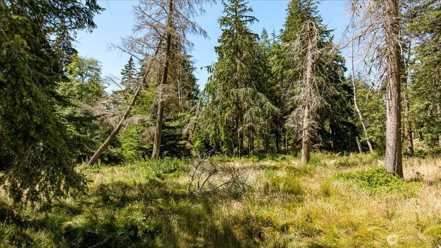 2458 North Bluff Rd, Greenbank, WA 98253