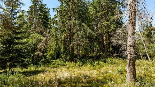 2458 North Bluff Rd, Greenbank, WA 98253