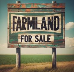 SWC 104th Avenue W Laraway Road, Frankfort, IL 60423