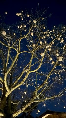 924 SW 11th Street, Boca Raton, FL 33486