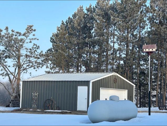 29533 505th Avenue, Henning, MN 56551