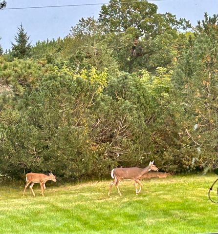 29533 505th Avenue, Henning, MN 56551