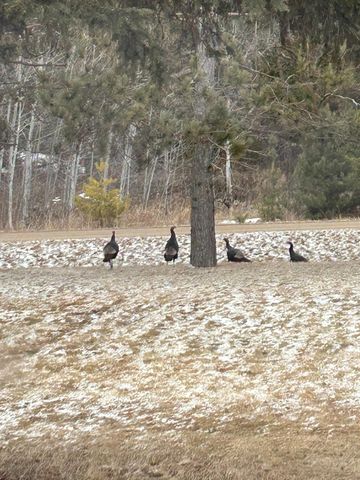 29533 505th Avenue, Henning, MN 56551