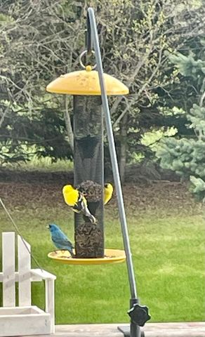 29533 505th Avenue, Henning, MN 56551