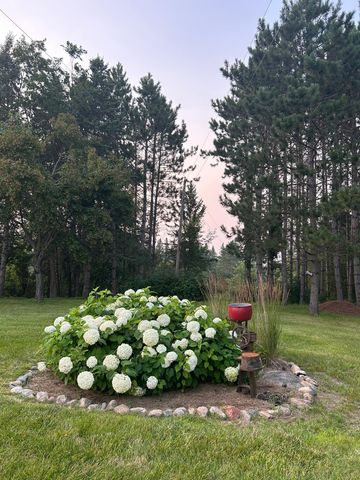 29533 505th Avenue, Henning, MN 56551