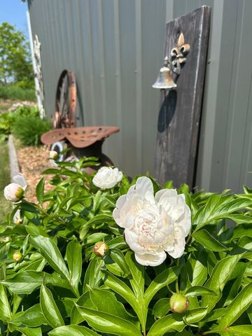 29533 505th Avenue, Henning, MN 56551