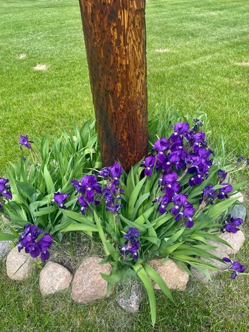 29533 505th Avenue, Henning, MN 56551