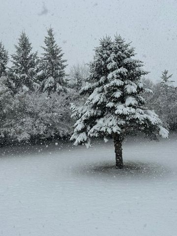 29533 505th Avenue, Henning, MN 56551