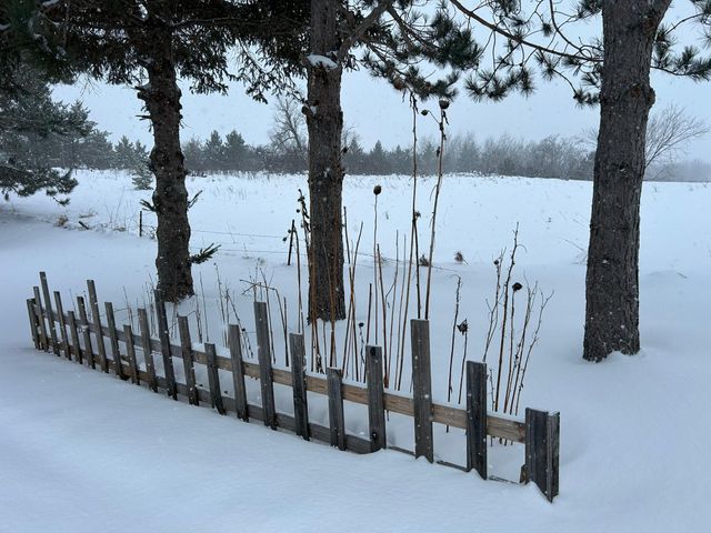 29533 505th Avenue, Henning, MN 56551