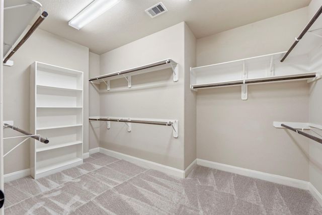 25210 Gaddis Oaks Drive, Spring, TX 77389