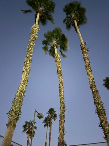 78650 Avenue 42 210, Bermuda Dunes, CA 92203