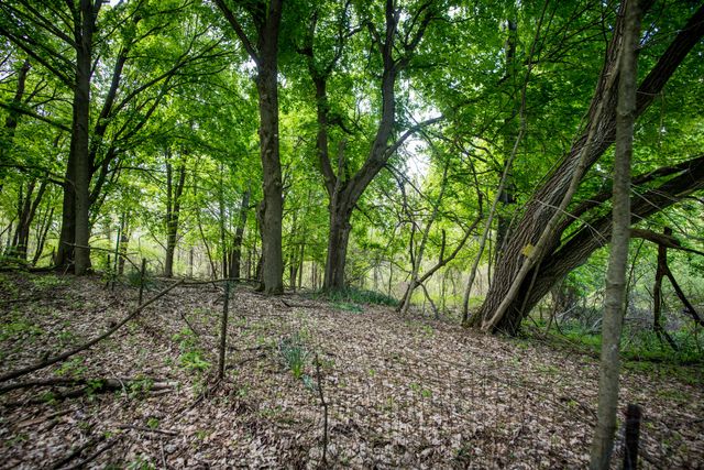 153 W E Avenue, Cooper Twp, MI 49009