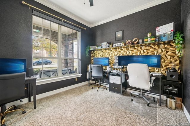 3318 Calhoun Cove, San Antonio, TX 78253