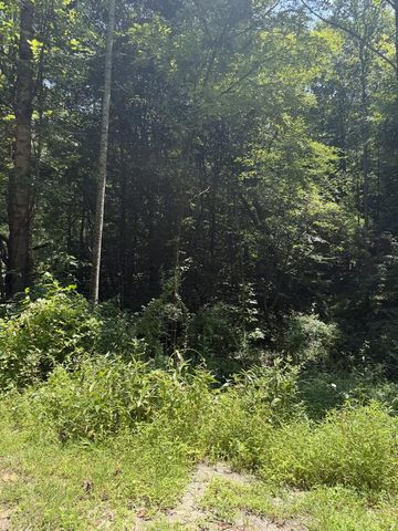 Lot 5 Blair Creek Ridge, Hayesville, NC 28904