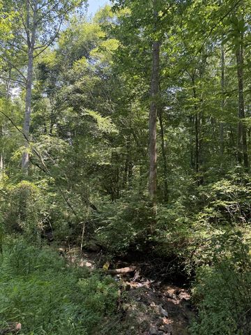 Lot 5 Blair Creek Ridge, Hayesville, NC 28904